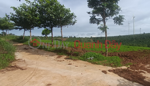 ChuProng Gia hybrid garden land for sale 1000m2 price 260 million Private Red Book _0