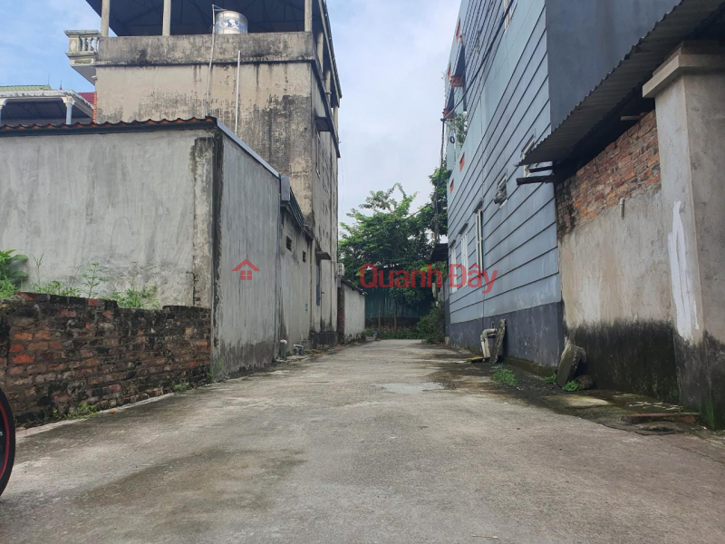 Urgent sale of land plot 57m, 5M street, full residential area in Luong Quy, Xuan Don, Dong Anh, Hanoi Sales Listings