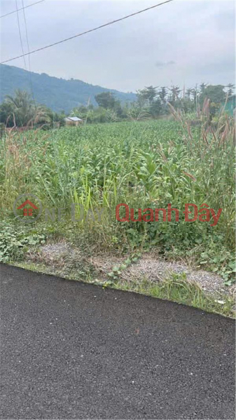 OWNER Needs to Sell Land Frontage on Phuong Vy Asphalt Road in Suoi Cao Commune, Xuan Loc, Dong Nai, Vietnam, Sales, đ 2.6 Billion