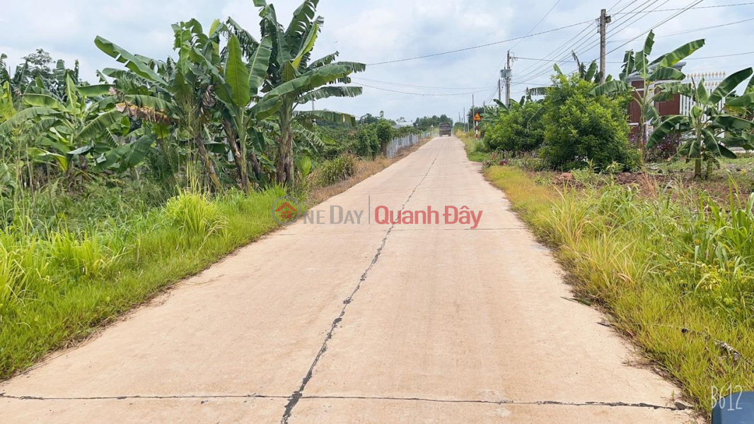 Property Search Vietnam | OneDay | Residential, Sales Listings, ORIGINAL LAND - CASH - GOOD PRICE In Xuan Dong Commune, Cam My District, Dong Nai Province