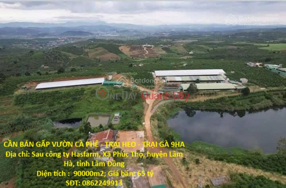 PRIME LAND - GOOD PRICE - URGENT SALE! Land for sale in Phuc Tho Commune, Lam Ha District, Lam Dong Province. Sales Listings