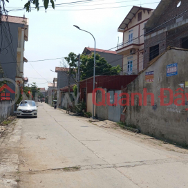 Bán đất Thuận Thành, Bắc Ninh. 65m2 * mt 4,25m * 1,98 tỷ. ô tô vào đất, gần KCN _0