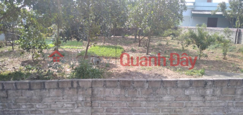 BEAUTIFUL LAND - GOOD PRICE - Land Lot For Sale Location In Hoang Tien Ward, Chi Linh City, Hai Duong _0