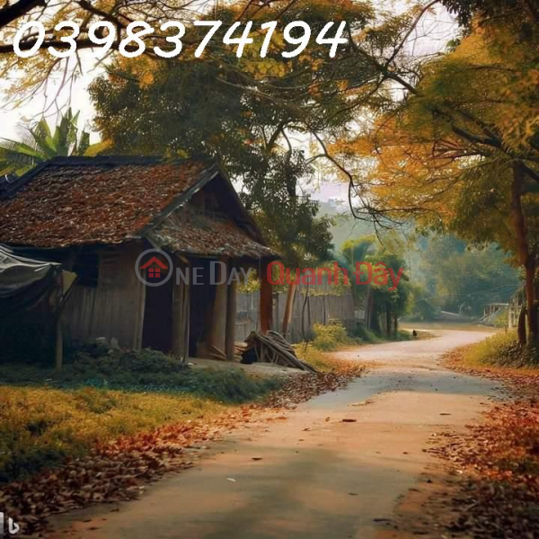 Residential land in Xom Nhi, Van Noi, beautiful frontage, lane for 5-ton trucks | Vietnam | Sales, ₫ 45 Million