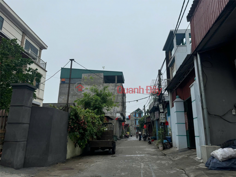 Property Search Vietnam | OneDay | Nhà ở, Niêm yết bán e mới kiếm được lô ngon cho các bác đây – lô góc văn môn 128m², giá chỉ 30tr/m²