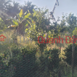 BEAUTIFUL LAND - GOOD PRICE - Owner Quickly Sells Land Lot in Nice Location In An Minh Bac - U Minh Thuong - Kien Giang _0