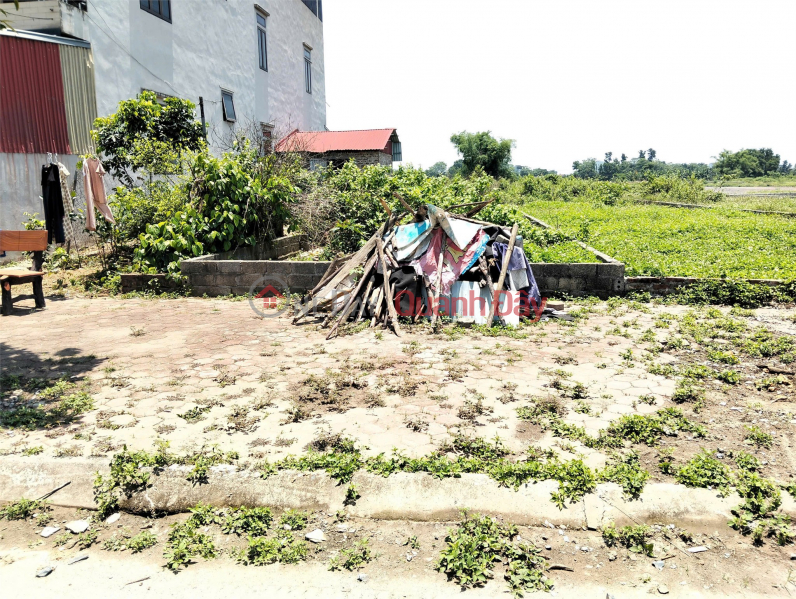 OWNER QUICKLY SELLS LAND 125m2 Located on the Main Axis of Binh Yen Resettlement Area - Thach That, Hanoi Sales Listings