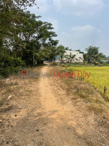 BEAUTIFUL LAND - GOOD PRICE - For Quick Sale Land Lot Location In An Chau Town - Chau Thanh - An Giang, Vietnam, Sales, ₫ 550 Million