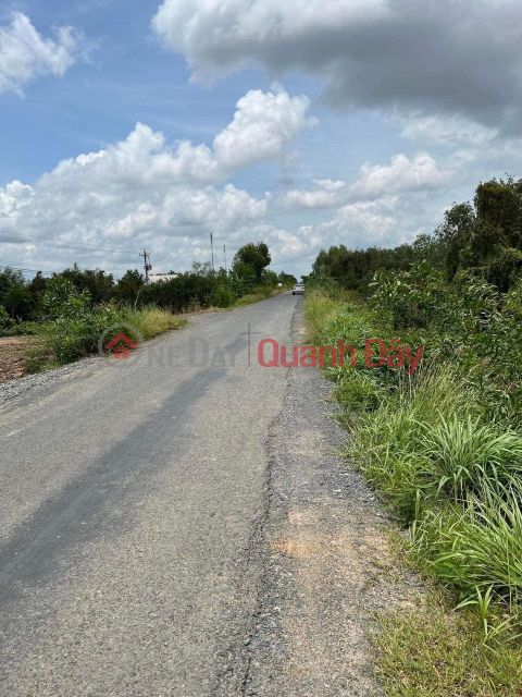 OWNER Sells Land Lot on Provincial Road 839, Thuan Binh Commune, Thanh Hoa, Long An. _0