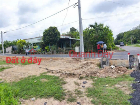 OWNER NEEDS TO SELL ADJOINING PLOTS OF LAND FACING A PAVED ROAD - Minh Thanh Commune, Dau Tieng District, Binh Duong Province _0
