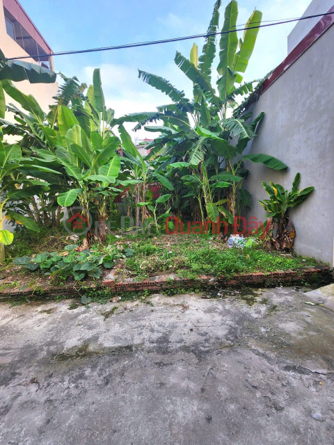 BEAUTIFUL LAND - GOOD PRICE - Land for Sale in Good Location, Car Parking at Viet Hung Gate, Dong Anh, Hanoi _0