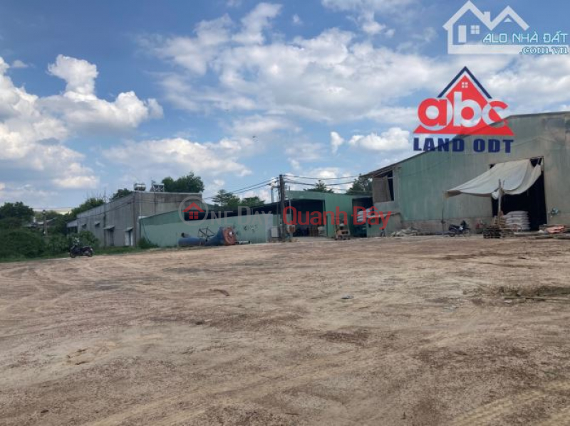 Urgent transfer of land frontage on road number 18 Lac Thuan, Lac Tanh, Tanh Linh district, Binh Thuan province. | Vietnam, Sales, đ 72 Billion