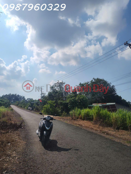 The owner is selling a beautiful plot of land near the Loc Ninh welcome gate, 500m from National Highway 13. Sales Listings