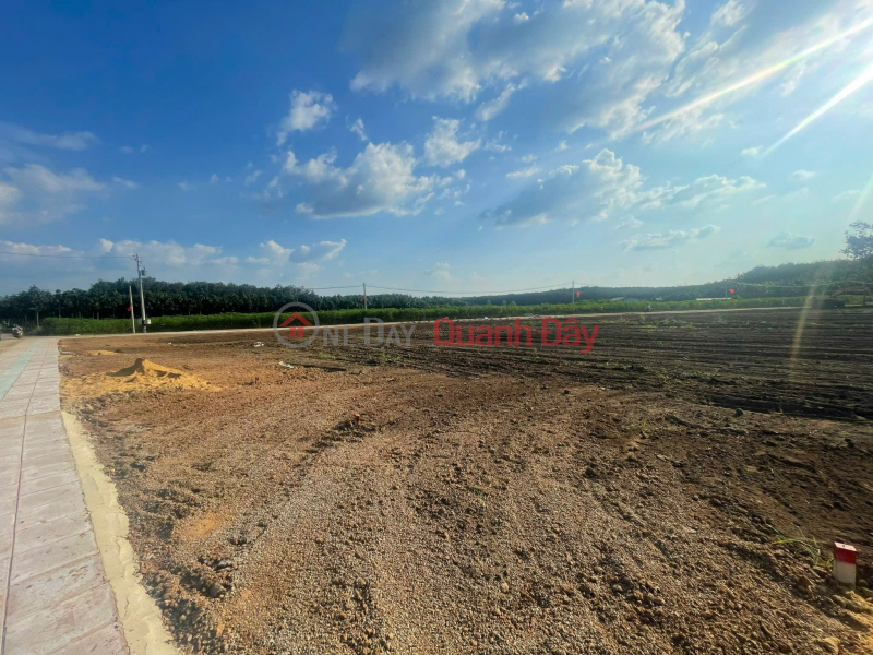 HOT OWN NOW a prime land lot in Chon Thanh town, Binh Phuoc province | Vietnam | Sales, đ 1.83 Billion