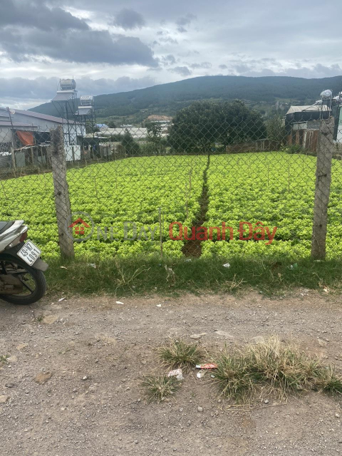 Đất Đẹp - Giá Tốt - Chính Chủ Cần Bán Lô Đất Vị Trí Đẹp Xã Hiệp Thạnh, Đức Trọng Lâm Đồng _0