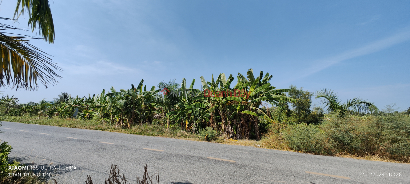 Urgent sale of rice land lot in front of Nguyen Hoang Anh Street for 7.6 billion Vietnam Sales | đ 7.6 Billion