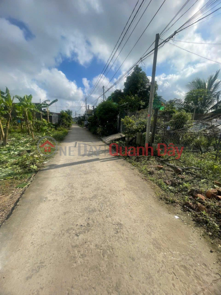 Owner Needs to Sell Land Lot in Kim Cang 1 Hamlet, Binh Thanh, Thu Thua, Long An | Vietnam | Sales | đ 2.2 Billion