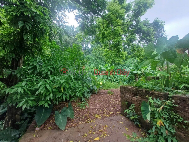 OWNER FOR SALE 470M2 LAND LOT IN TIEN PHUONG-CHUONG MY-HANOI Vietnam Sales đ 10 Million