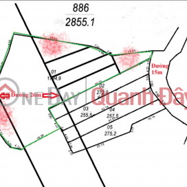 URGENT SALE OF BEAUTIFUL LAND IN TRU HUU WARD - CHU TOWN _0