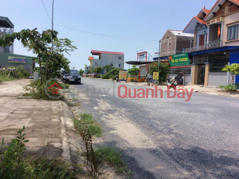 BEAUTIFUL LAND - GOOD PRICE - FOR SALE 2 Lots of Resettlement Land in Cat Hai, Hai Phong _0