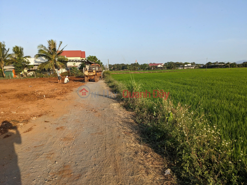 Property Search Vietnam | OneDay | Residential, Sales Listings, OWN A UNIQUE BEAUTIFUL LOT OF LAND - SUPER INVESTMENT PRICE In Xuan Phu Commune, Xuan Loc District, Dong Nai Province