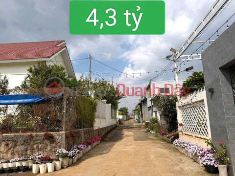 369m2 land for sale in Tran Phu, Lien Nghia, Duc Trong, Lam Dong - price 4.3 billion VND. _0