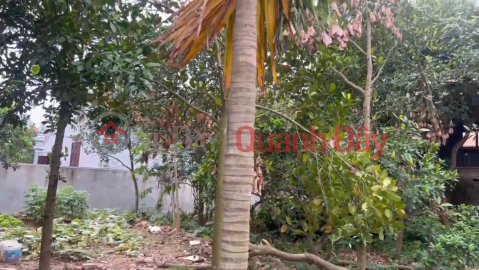 Bán gấp 180m đất thôn 4, Thạch Đà, Mê Linh, Hà Nội. Đất ở 100%. Cách chợ Thạch Đà 1,4km _0