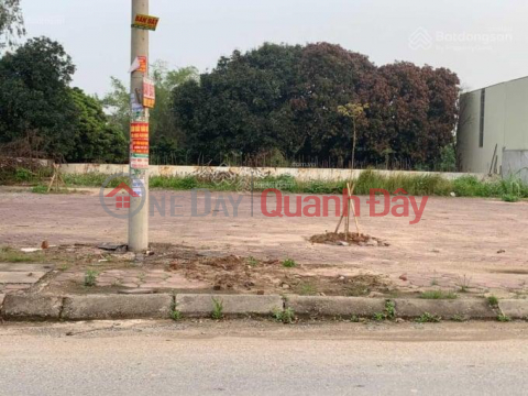 The owner needs to sell quickly Business Land Lot Provincial Road 381 - Giai Pham - Yen My - Hung Yen _0