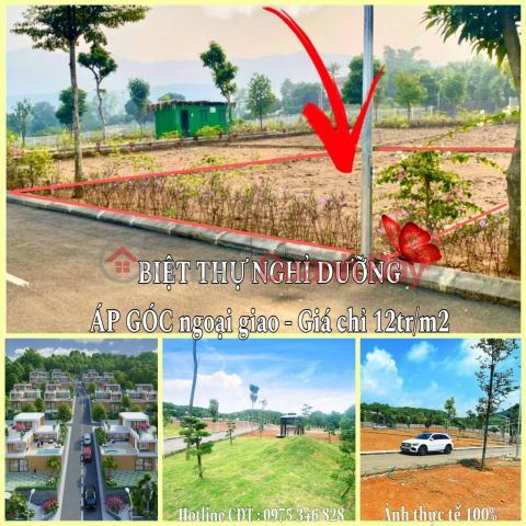 Urgent sale of 160m² plot of land next to Dong Xuan primary school, 10m frontage, 16m square side to build a garden villa. _0