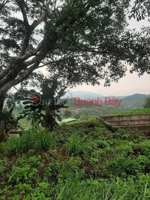 LAND SALE IN BAO LOC – LAM DONG – 0984 96 70 76 _0