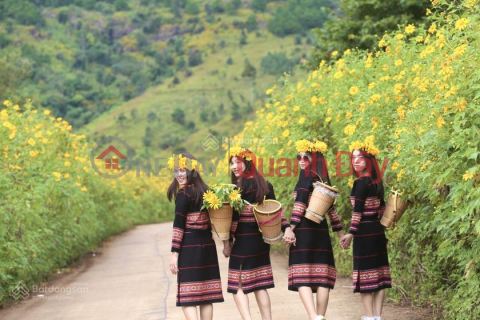 OWNER SELLING 1,211M2 LAND WITH TITLE DEED IN THE WILD SUNFLOWER FESTIVAL AREA OF CHU DANG YA VOLCANO. _0