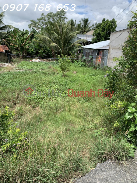 PRIMARY LOT OF LAND FOR SALE BEAUTIFUL LOCATION In Thap Muoi, Dong Thap | Vietnam Sales | đ 1 Billion