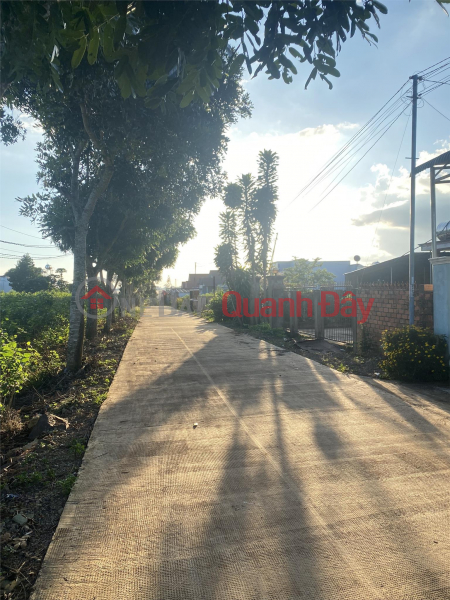 Property Search Vietnam | OneDay | Residential, Sales Listings | BEAUTIFUL LAND - GOOD PRICE - Land Lot For Sale Prime Location In Di Linh District, Lam Dong