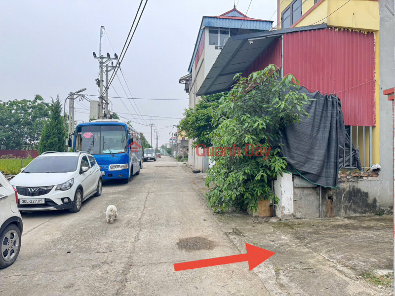 Catching the Wave of Ring Road 4 - Land with 4.5m Frontage in Kim Hoa, Me Linh - Only 2.1 Billion Sales Listings