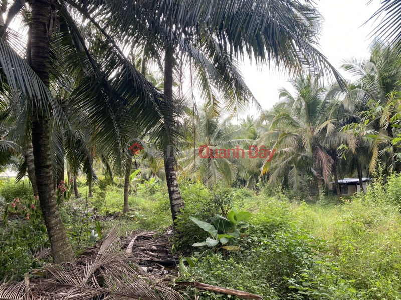 đ 1.9 Billion BEAUTIFUL LAND - GOOD PRICE - Urgent Sale Garden Land Lot Nice Location In Chau Thanh, Tien Giang