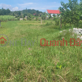 Beautiful land plot for quick sale by owner in Dien Tan, price only 2.6 million\/m, nearly 70m from HL62 _0