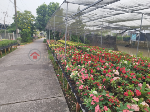 Bán đất thổ cư 308m2 Sổ Hồng đường Phạm Hồng Thái, P. Sa Đéc, Đồng Tháp. Giá 1,95 tỷ. _0