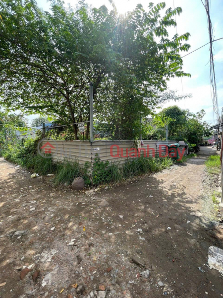 OWNER Quickly Sells Corner Lot With 2 Alley Frontages In Hamlet 3, Binh Hung Commune, Binh Chanh, HCMC Sales Listings