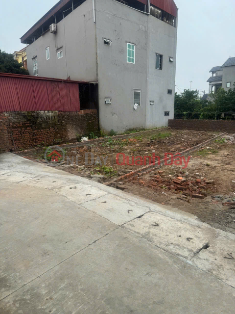 Bán đất thôn Đại Bái, xã Quang Minh, Mê Linh. Gần đường quốc lộ 23, và UBND xã Quang Minh _0