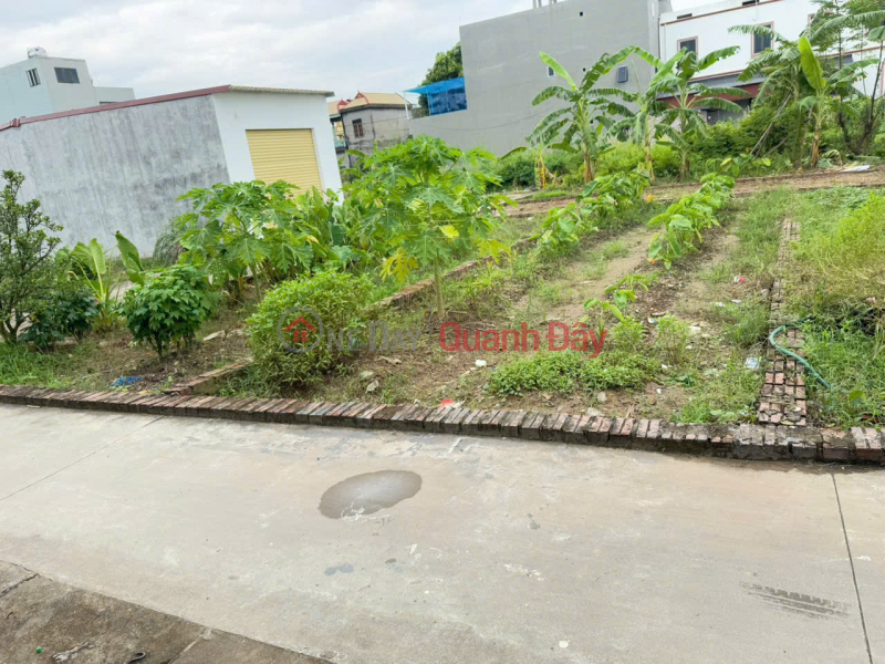 Property Search Vietnam | OneDay | Residential Sales Listings, Owner needs money to deposit and sell land plot at group 9 Quang Minh, Me Linh. Full of amenities