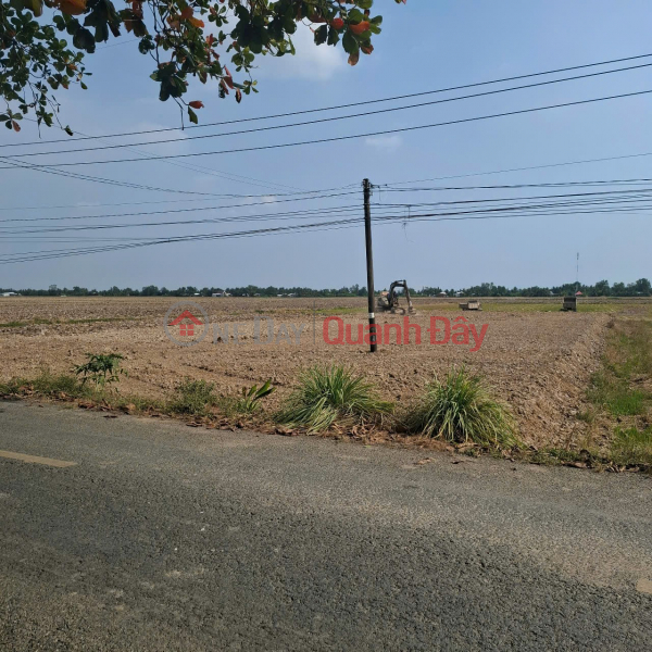 BEAUTIFUL LAND - PROFITABLE INVESTMENT - OWNER Needs to Quickly Sell Land Lot in Dong Yen Commune, An Bien, Kien Giang Vietnam Sales đ 3.57 Billion