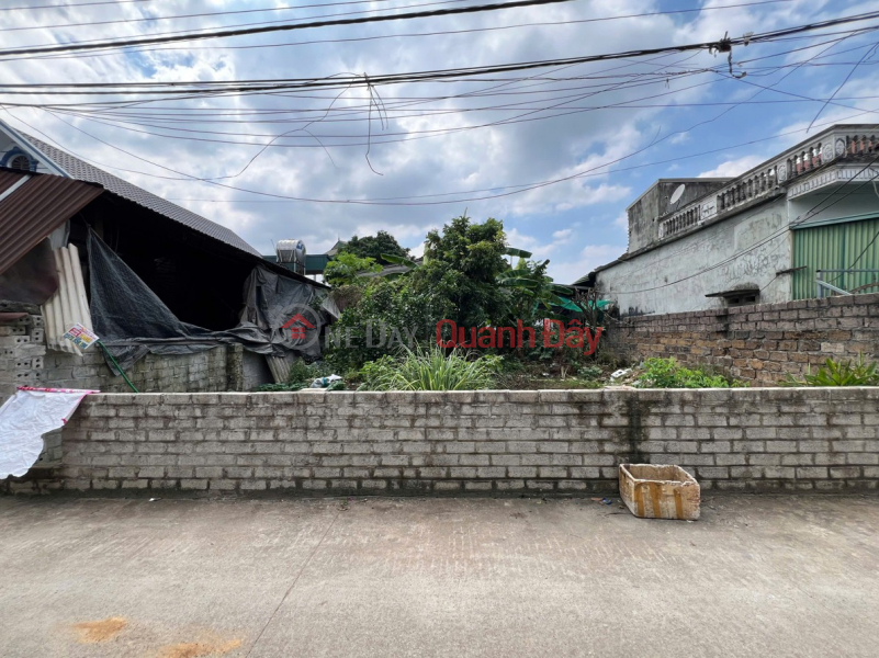 CƠ HỘI ĐẦU TƯ HIẾM - Đất đẹp Sơn Đông, Sơn Tây - Full thổ cư - Đường 2 ô tô tránh nhau, Việt Nam | Bán, đ 4,8 tỷ