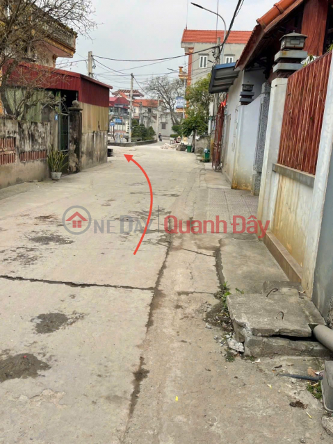 Bám Trục CIENCO5- Chính chủ gửi bán đất tại Trung Lập, Tri Trung, huyện Phú Xuyên, TP. Hà Nội _0