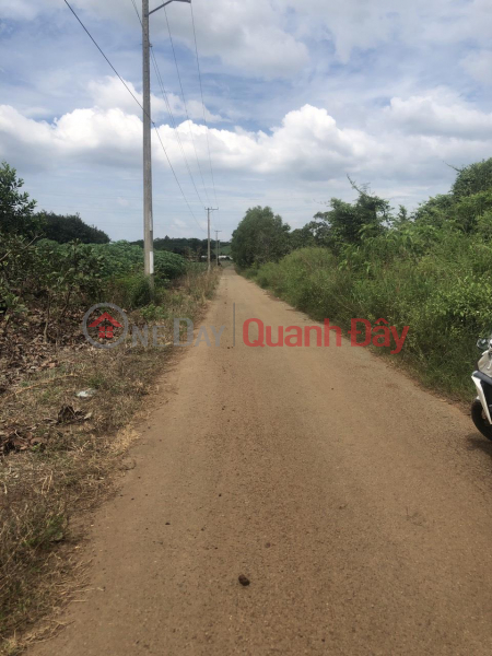 PRIMARY LAND LOT - Front Facade In Dong Hoa Commune, Trang Bom District, Dong Nai Province, Vietnam | Sales | đ 2.73 Billion