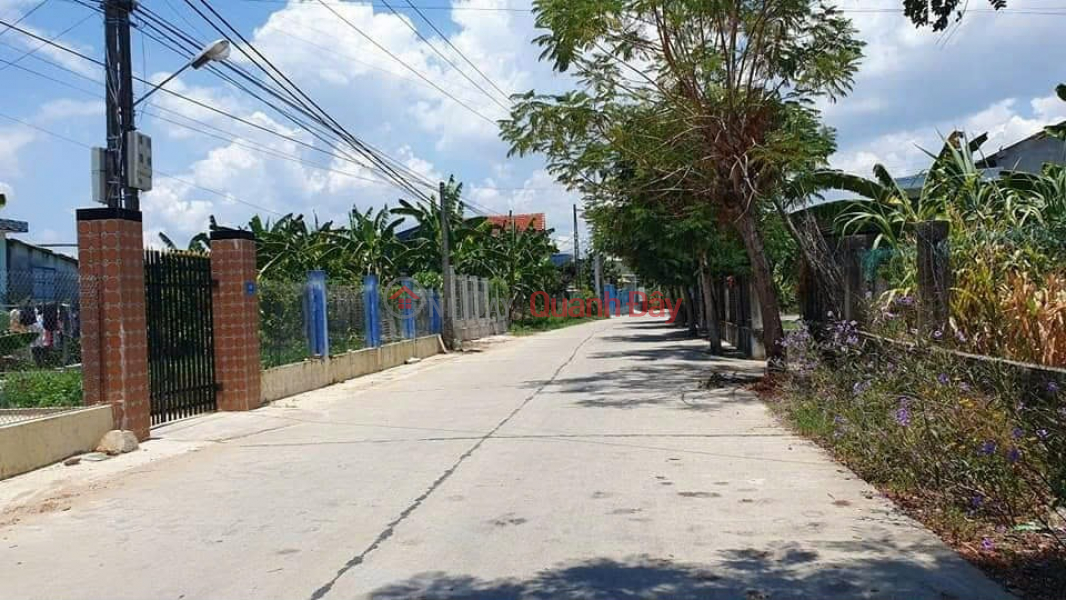 Property Search Vietnam | OneDay | , Sales Listings | Beautiful plot of land near toll station with red book