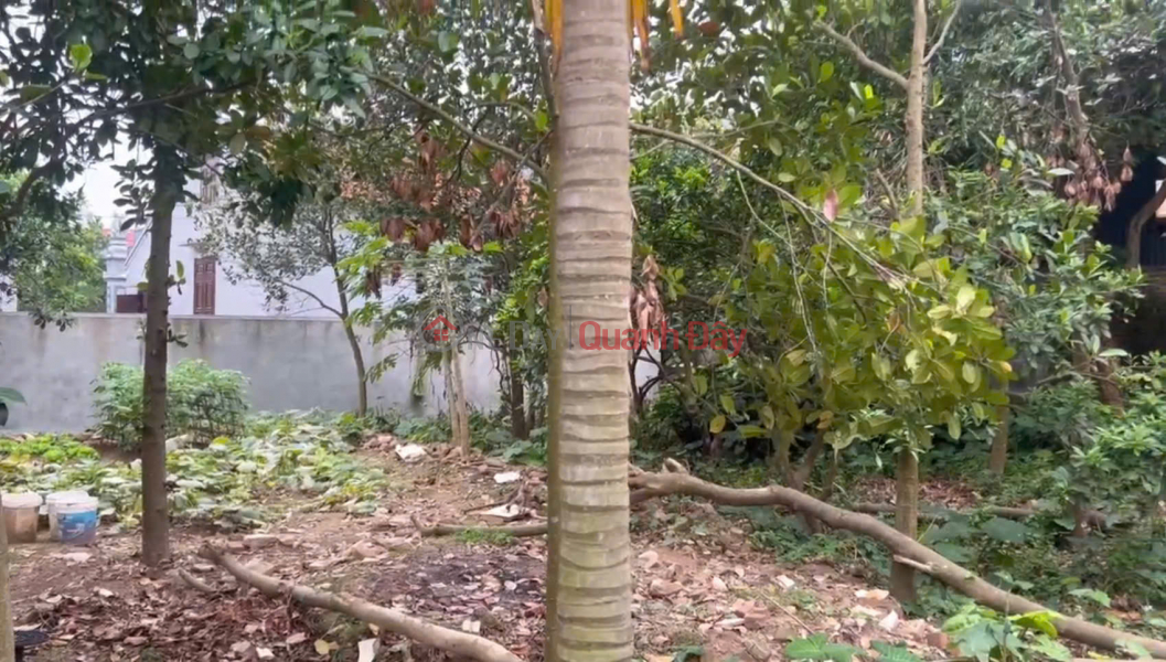 Bán gấp 180m đất thôn 4, Thạch Đà, Mê Linh, Hà Nội. Đất ở 100%. Cách chợ Thạch Đà 1,4km Việt Nam Bán | đ 6,5 tỷ