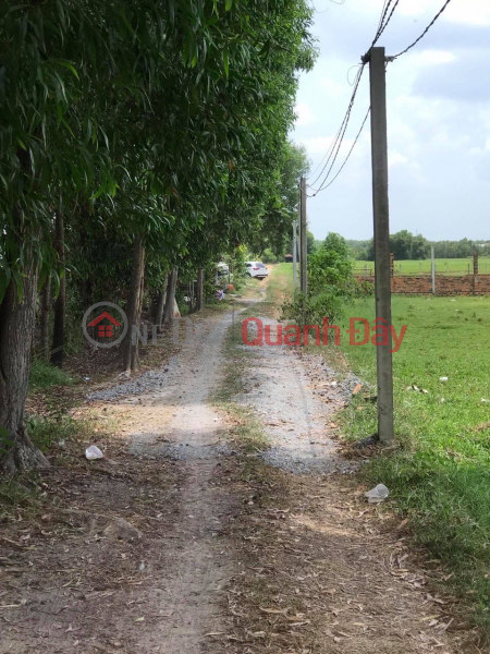 đ 9.9 Billion PRIME LOCATION LAND - GREAT PRICE Selling quickly: 3 plots of land with two street frontages in Cu Chi District, Ho Chi Minh City.