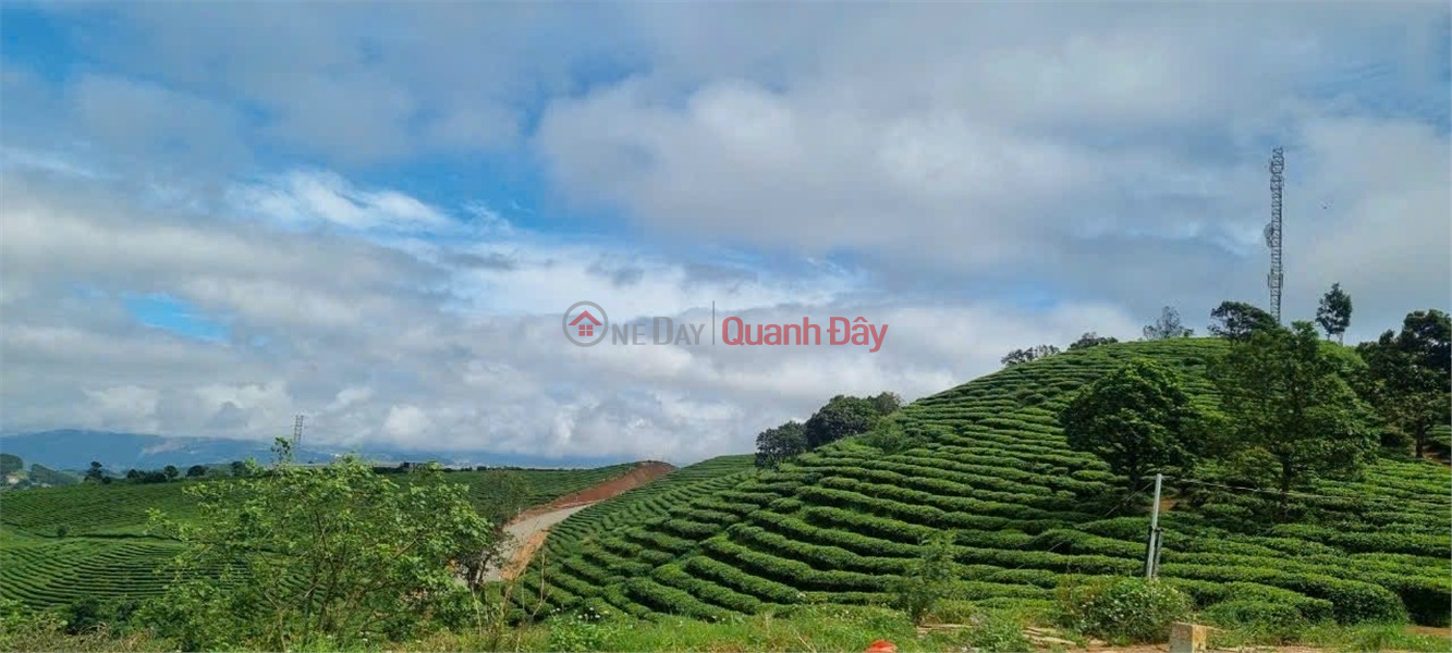  | Làm ơn chọn | Nhà ở Niêm yết bán, đ 2,2 tỷ