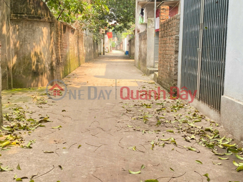 45.7m land in the center of Thuy Huong commune, Chuong My, car access _0