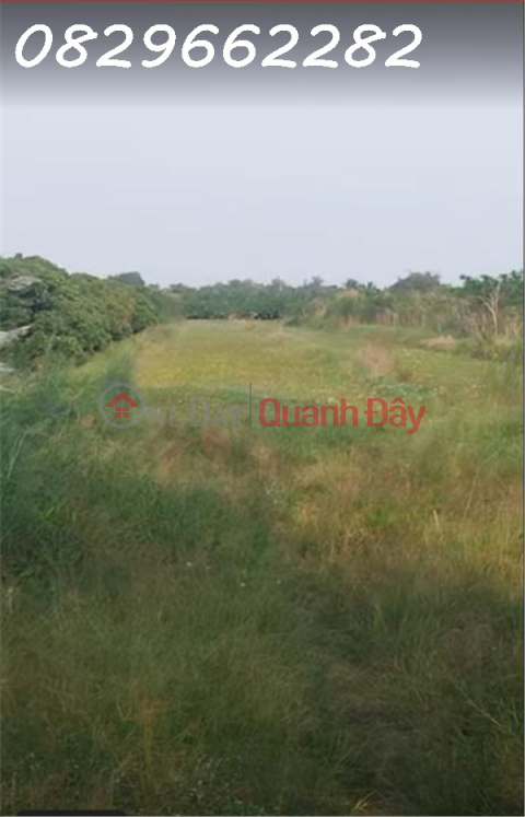 Bán đất nông nghiệp 4678m2 đường Tám Sáng, Tân Phú Trung, ĐT. Sổ hồng, giá 1.5 tỷ. _0